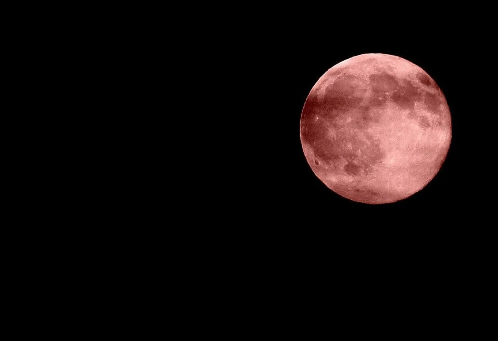¿Cuándo y dónde ver la próxima Superluna de fresa? ¿Cuándo y dónde ver la próxima Superluna de fresa?