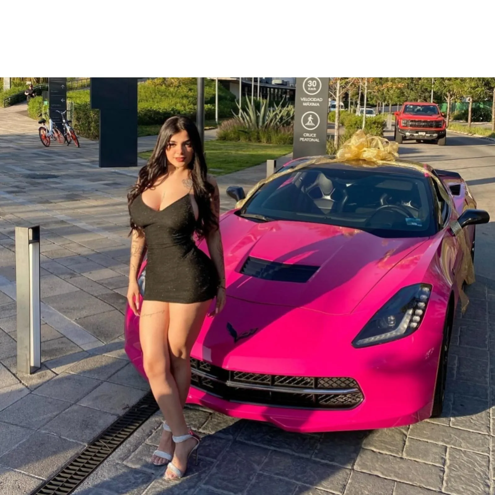 Karely Ruiz estrena auto de lujo y los comentarios de los ardidos no faltaron Karely Ruiz estrena auto de lujo y los comentarios de los ardidos no faltaron