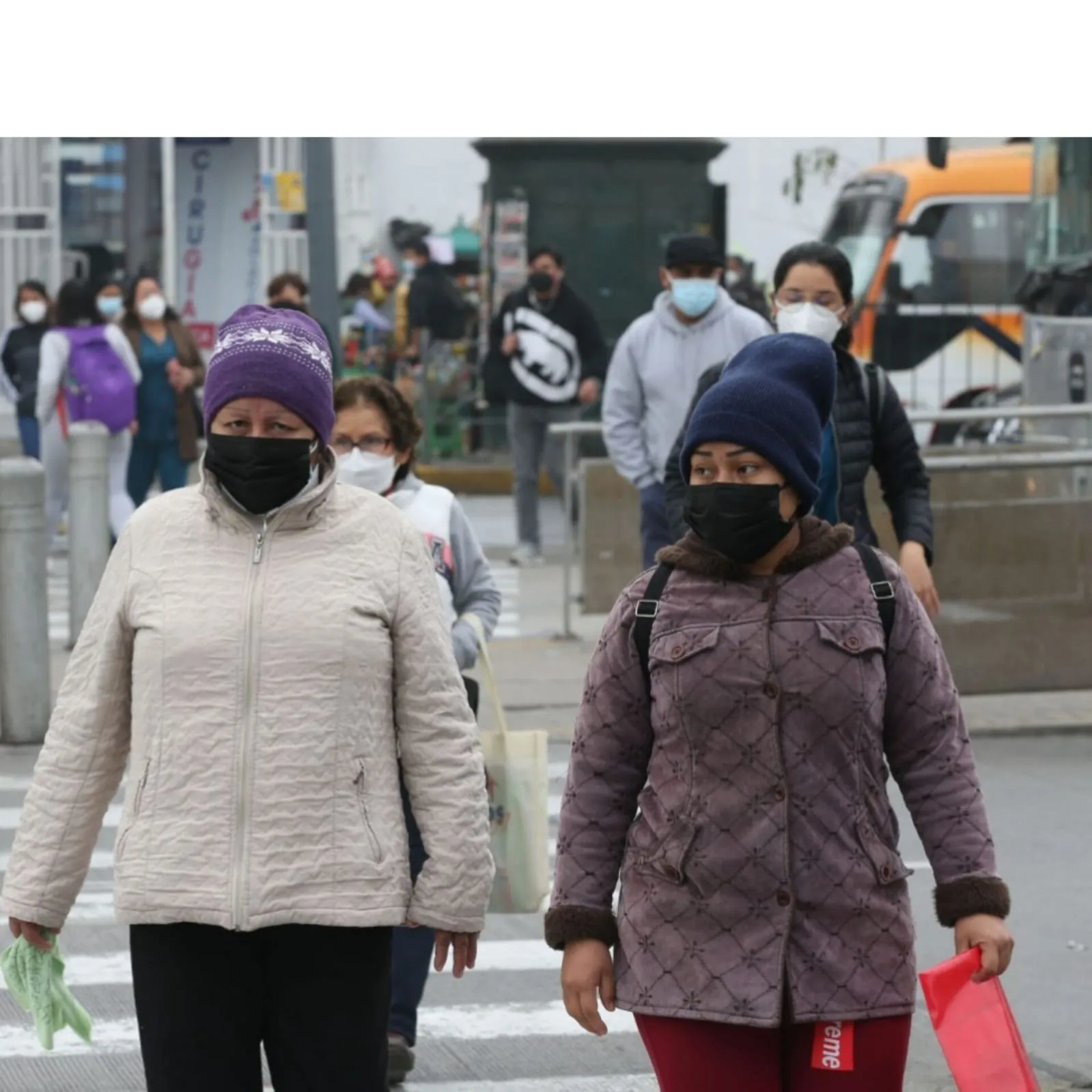 Cómo cuidarnos en el invierno para evitar enfermarnos, según los especialistas de la UAS Cómo cuidarnos en el invierno para evitar enfermarnos, según los especialistas de la UAS