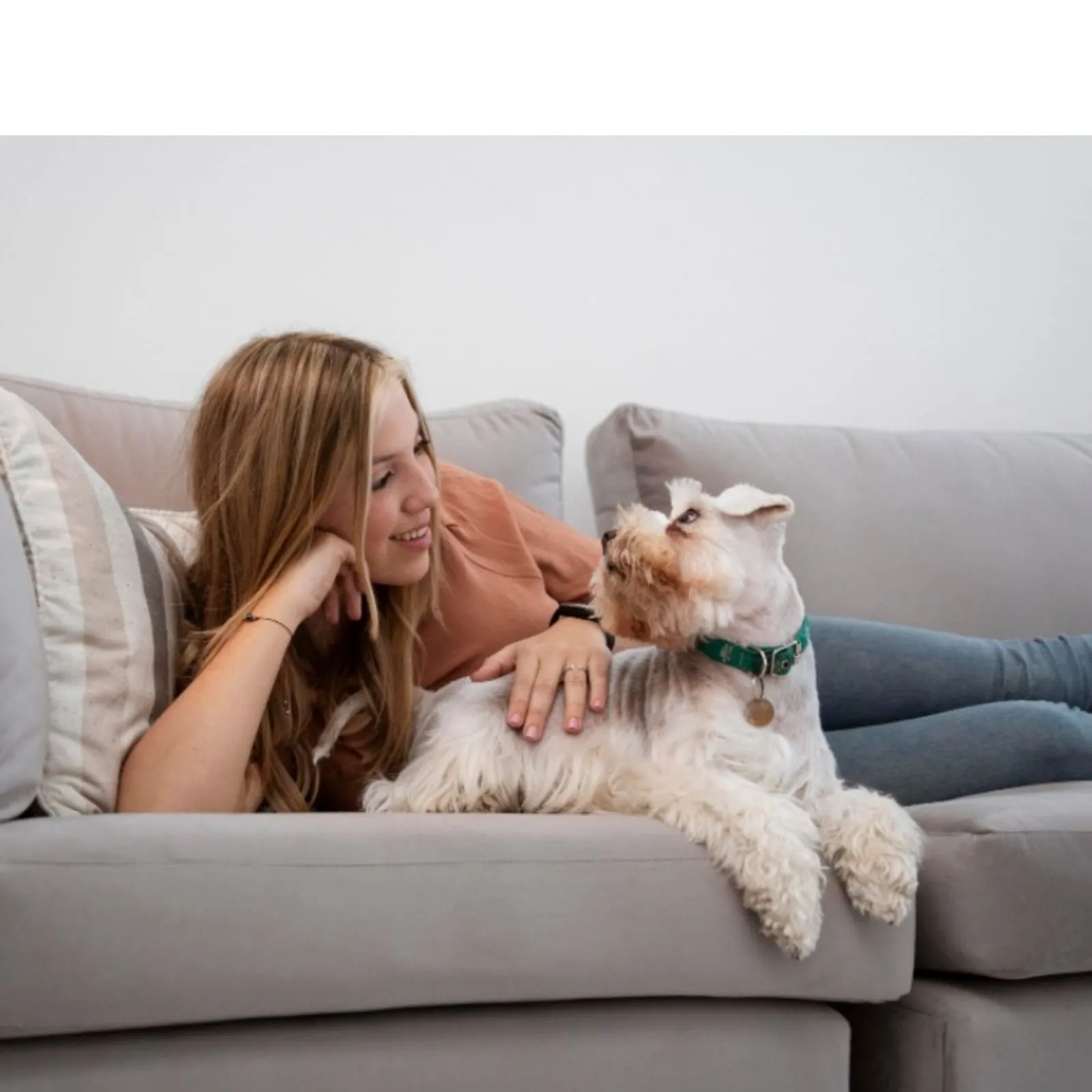 ¿Qué le pasa a mi perro cuando escucha el sonido de los cohetes? ¿Qué le pasa a mi perro cuando escucha el sonido de los cohetes?