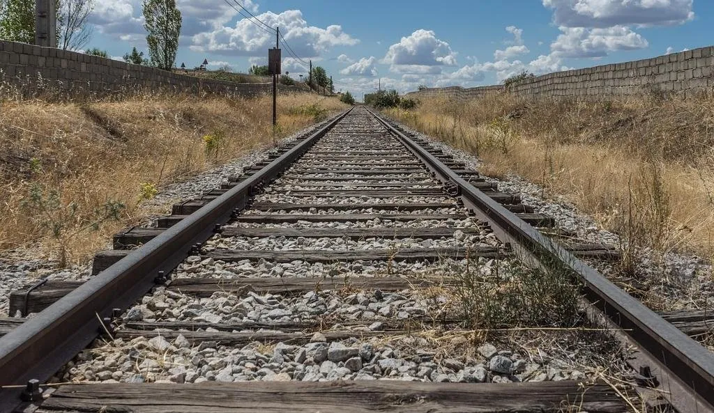 Pierde la vida tras caer de un tren en movimiento Pierde la vida tras caer de un tren en movimiento