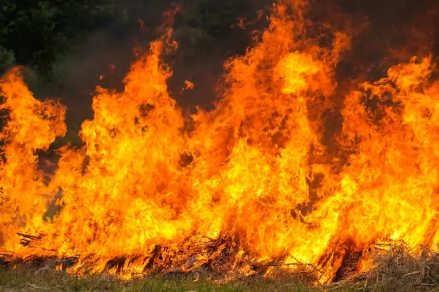 Miles de canadienses son obligados a evacuar por incendio forestal en el este del país Miles de canadienses son obligados a evacuar por incendio forestal en el este del país