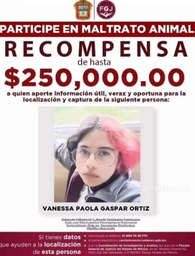 Piden ‘Justicia para Huellitas’ un perrito asesinado en Puebla Piden ‘Justicia para Huellitas’ un perrito asesinado en Puebla