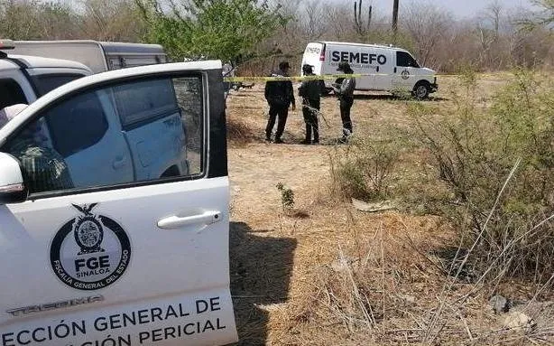 Encuentran a un joven sin vida en Baila; era originario de Costa Rica Encuentran a un joven sin vida en Baila; era originario de Costa Rica