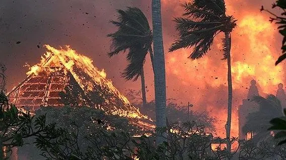 Esto es lo que sabemos sobre el incendio más mortífero en EE.UU. en más de un siglo Esto es lo que sabemos sobre el incendio más mortífero en EE.UU. en más de un siglo