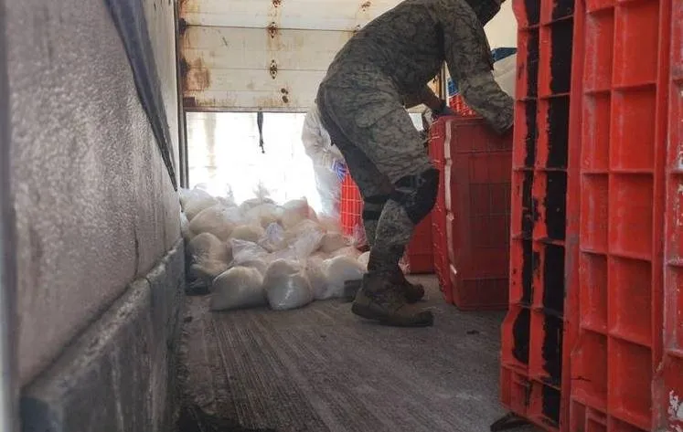 Ejército asegura 300 kilos de metanfetamina en El Ranchito Ejército asegura 300 kilos de metanfetamina en El Ranchito