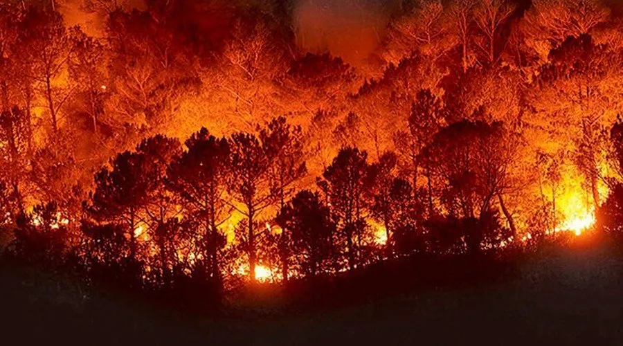 Incendios forestales son atendidos en Oaxaca; Sedena informa situación de seguridad en la entidad Incendios forestales son atendidos en Oaxaca; Sedena informa situación de seguridad en la entidad