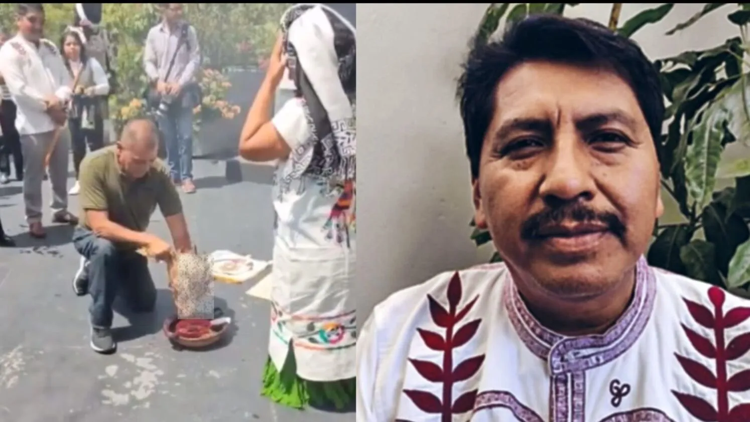 Hacen sacrificio de gallina en Senado de la República, ¡Preparan sanción! Hacen sacrificio de gallina en Senado de la República, ¡Preparan sanción!
