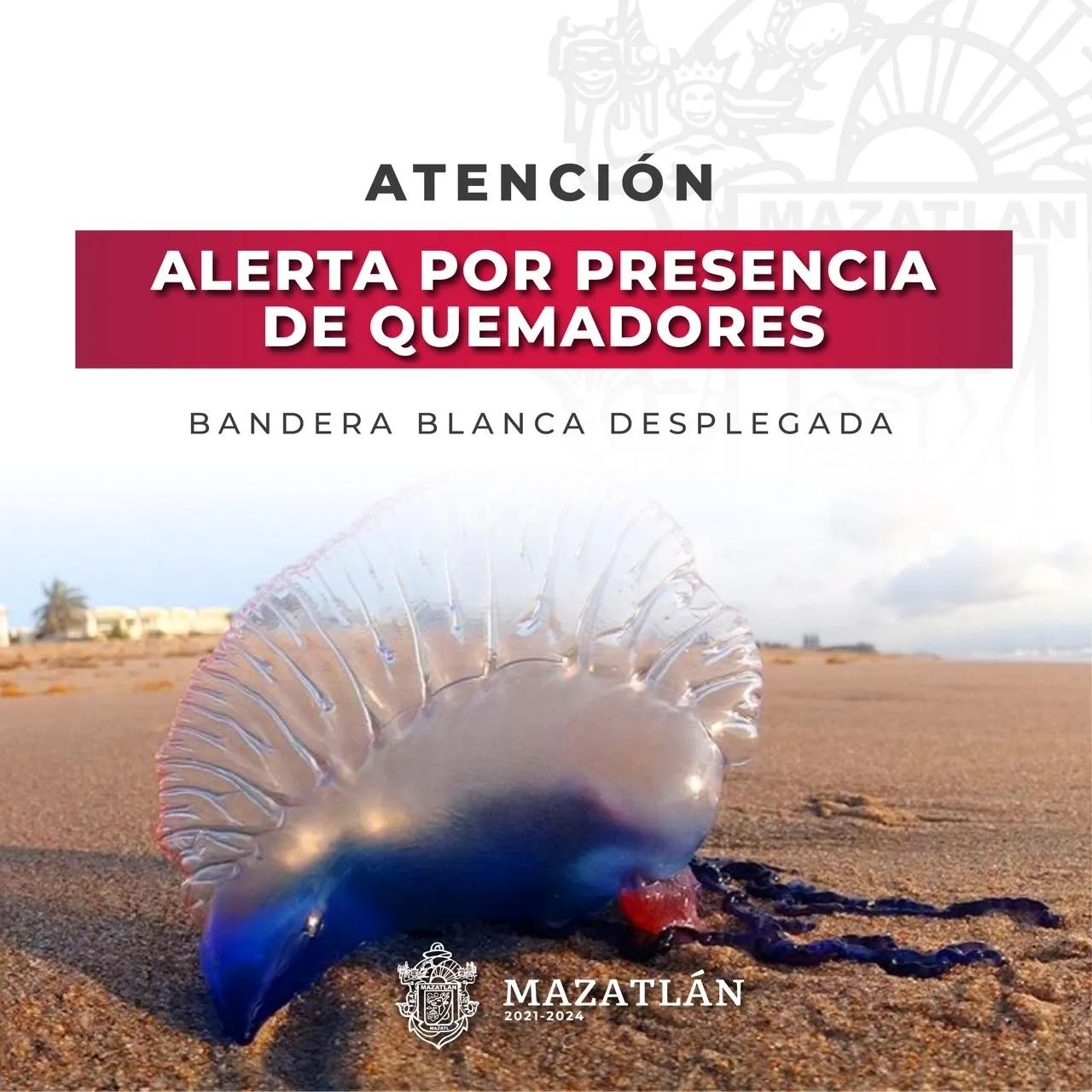 Alertan a bañistas por presencia de quemadores en playas Alertan a bañistas por presencia de quemadores en playas