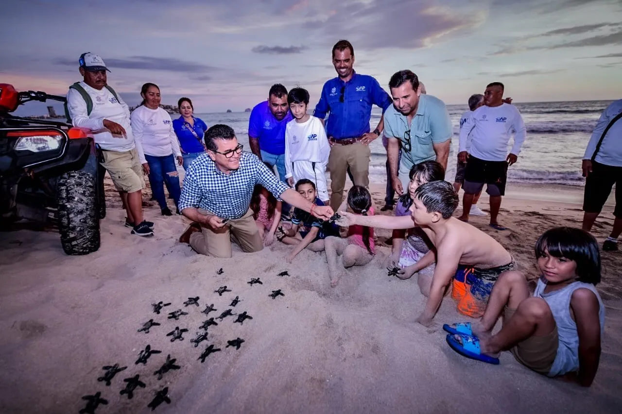 Arranca Gobierno de Mazatlán Programa de Protección a la Tortuga Marina para la temporada 2024. Arranca Gobierno de Mazatlán Programa de Protección a la Tortuga Marina para la temporada 2024.