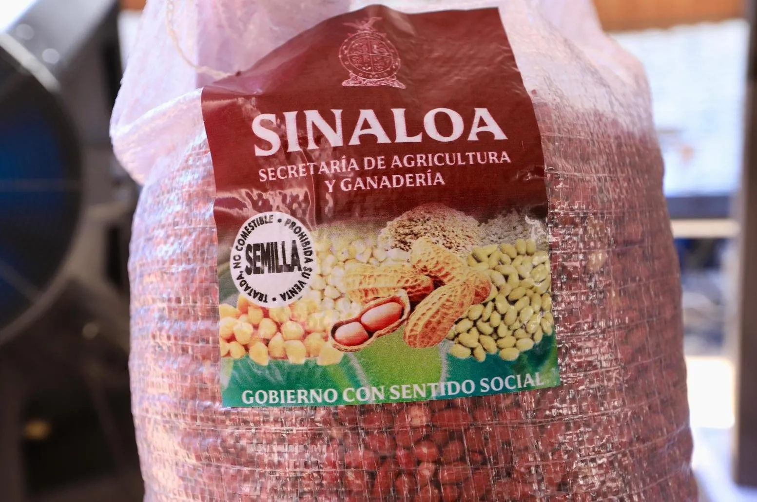 Entrega Rocha semillas de diferentes cultivos a productores temporaleros Entrega Rocha semillas de diferentes cultivos a productores temporaleros