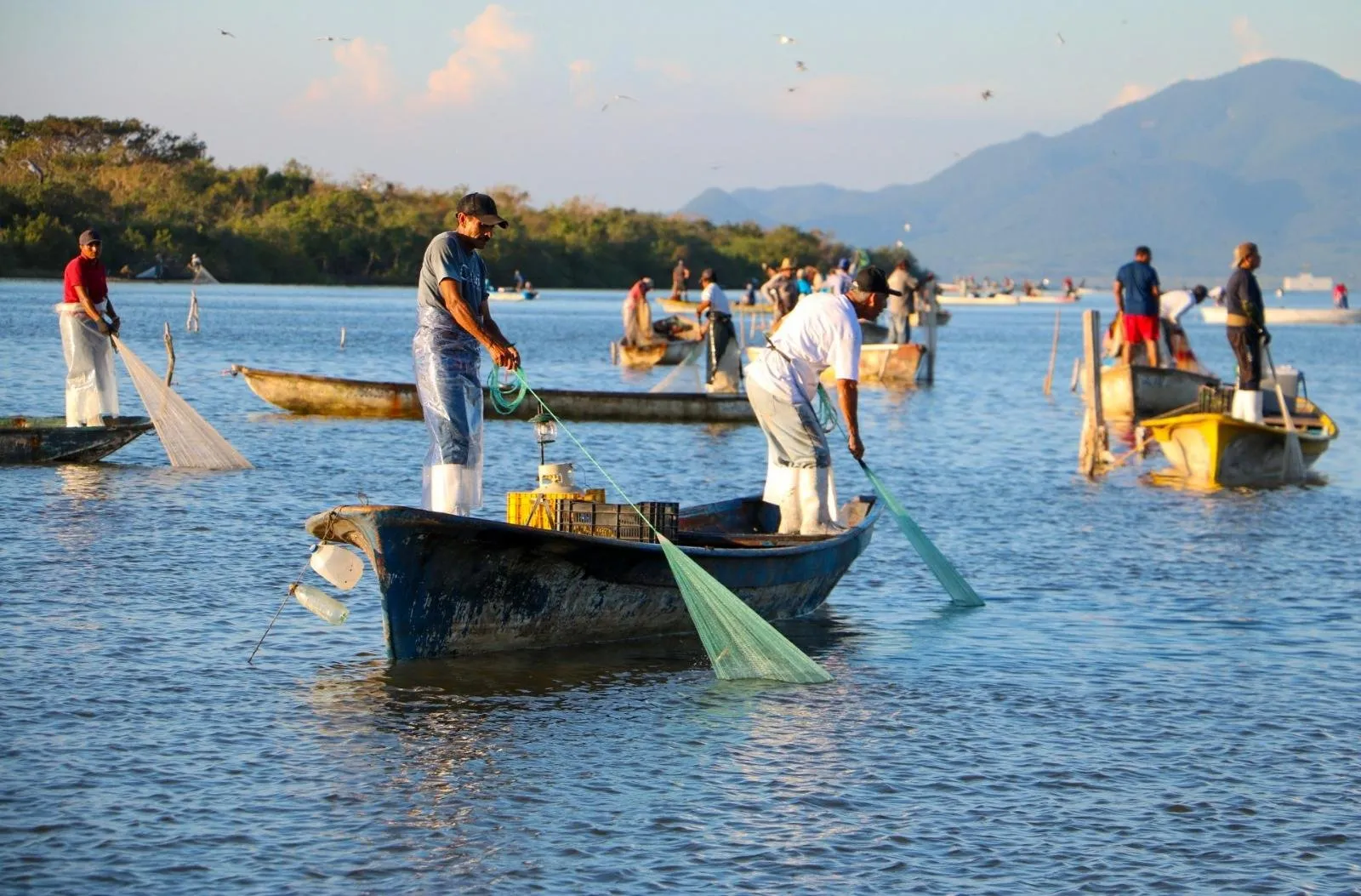 Pescadores recibirán el Bienpesca Estatal en septiembre: Flor Emilia Guerra Mena Pescadores recibirán el Bienpesca Estatal en septiembre: Flor Emilia Guerra Mena