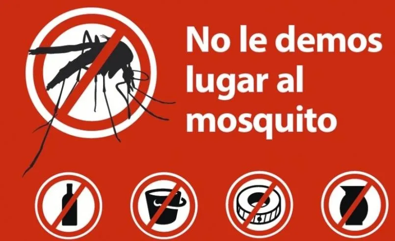 De esta forma puedes reducir el riesgo de contraer dengue De esta forma puedes reducir el riesgo de contraer dengue