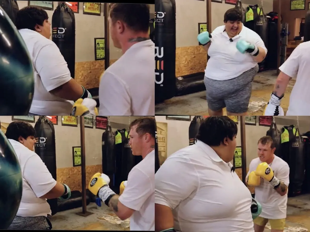 ¡Un golpe amistoso! Paulo Chavira desafió a ‘Canelo’ en entrenamiento ¡Un golpe amistoso! Paulo Chavira desafió a ‘Canelo’ en entrenamiento
