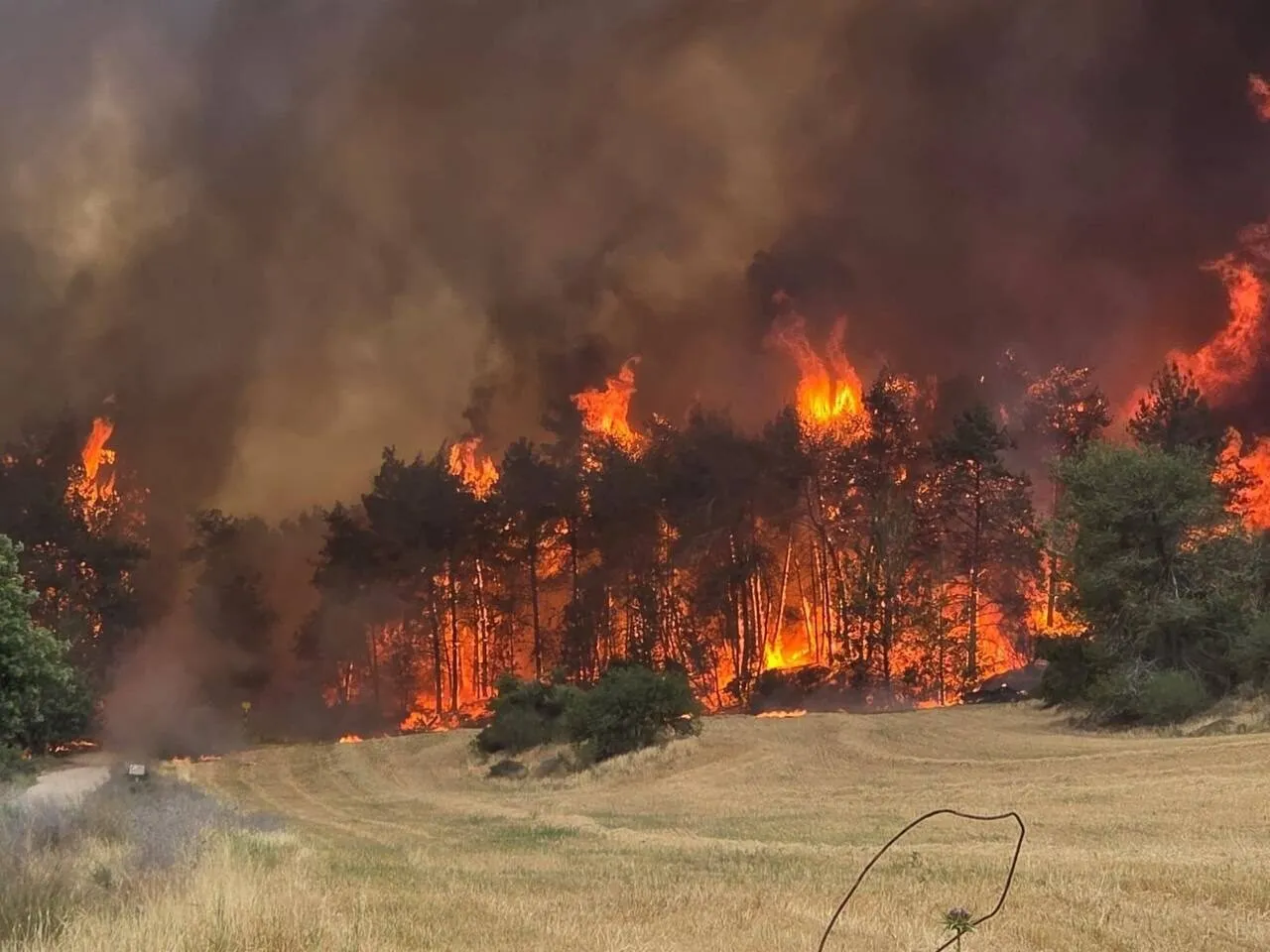 Continúa lucha contra los incendios en las cercanías de Jerusalén, impactantes imágenes revelan la magnitud del desastre Continúa lucha contra los incendios en las cercanías de Jerusalén, impactantes imágenes revelan la magnitud del desastre