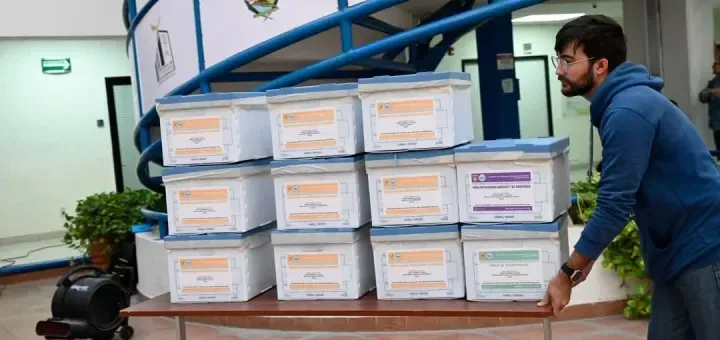 Concluyó la elección de rector 2025-2029 en la UAS. Votaron 150 mil universitarios Concluyó la elección de rector 2025-2029 en la UAS. Votaron 150 mil universitarios