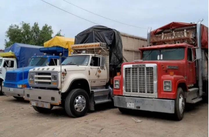 Se refuerza control contra transporte “pirata” en acarreo de cosecha de maíz en Sinaloa Se refuerza control contra transporte “pirata” en acarreo de cosecha de maíz en Sinaloa