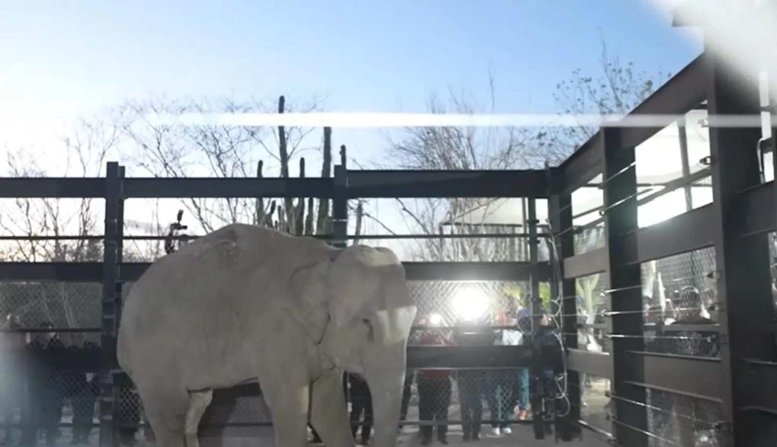Bioparc Mazatlán, se proyecta como el santuario de vida silvestre más importante de Latinoamérica: Raúl Villavicencio Bioparc Mazatlán, se proyecta como el santuario de vida silvestre más importante de Latinoamérica: Raúl Villavicencio