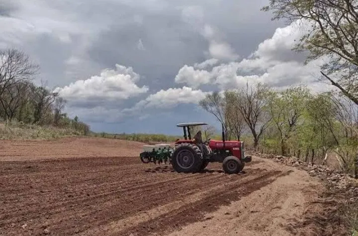 Temporaleros de Choix piden que se agilice entrega de semilla y aprovechar lluvias Temporaleros de Choix piden que se agilice entrega de semilla y aprovechar lluvias