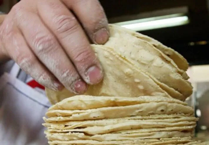 Lamentable que tortilla no aparece como parte de la canasta básica oficial: FDC Lamentable que tortilla no aparece como parte de la canasta básica oficial: FDC