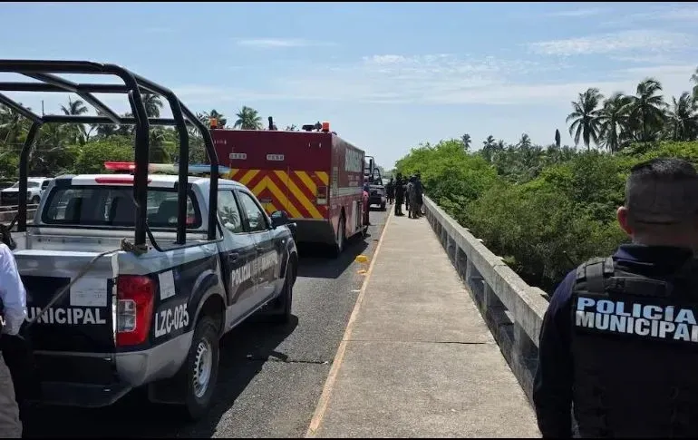 Niño cae en un río de cocodrilos Niño cae en un río de cocodrilos