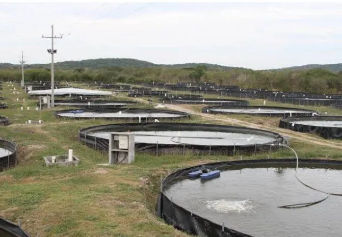 Presentan el Plan Estatal de Acción Climática para la Pesca y Acuacultura en Los Mochis Presentan el Plan Estatal de Acción Climática para la Pesca y Acuacultura en Los Mochis