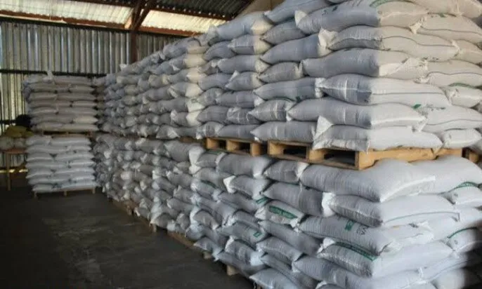Da resultados quema de almacenamiento de frijol para su comercialización: AARFS Da resultados quema de almacenamiento de frijol para su comercialización: AARFS