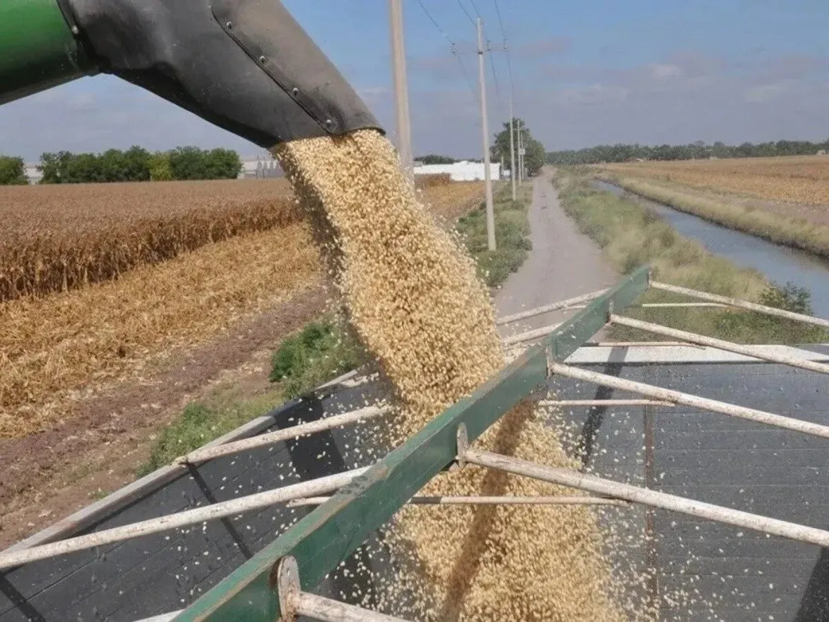 Exigen productores pago de los apoyos pendientes del maíz y el trigo: González Alvarado Exigen productores pago de los apoyos pendientes del maíz y el trigo: González Alvarado