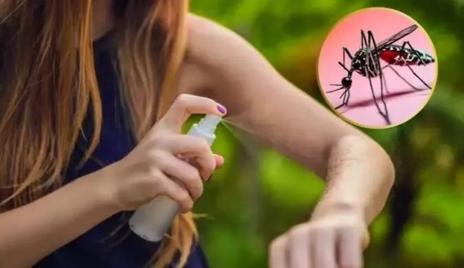 En lo que va del año suman ya 26 casos de dengue en Ahome: Salud Municipal En lo que va del año suman ya 26 casos de dengue en Ahome: Salud Municipal