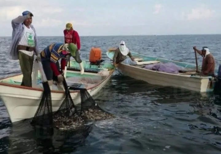 El cambio climático impacta la pesca y obliga a tomar medidas para mitigar sus efectos: Líder pesquero El cambio climático impacta la pesca y obliga a tomar medidas para mitigar sus efectos: Líder pesquero