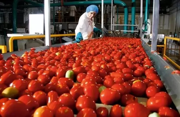 Irma Moreno critica la falta de acción del Gobierno Federal ante nuevo arancel al tomate por Estados Unidos Irma Moreno critica la falta de acción del Gobierno Federal ante nuevo arancel al tomate por Estados Unidos