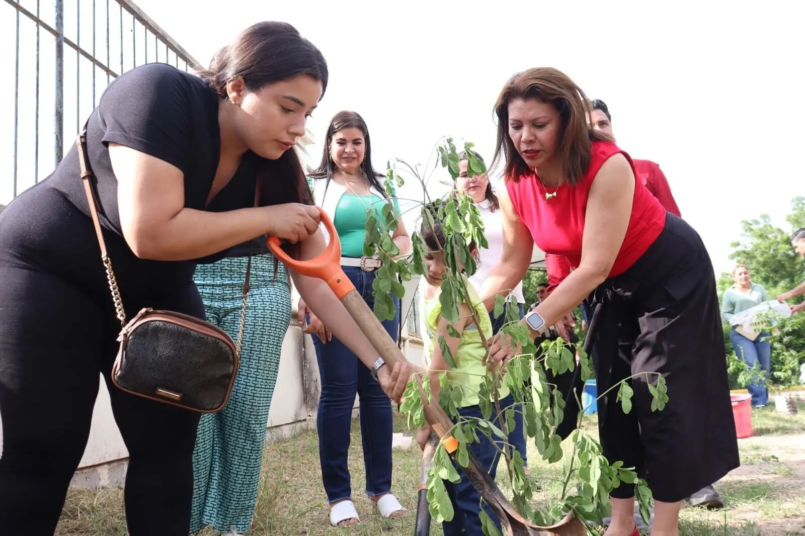 La Facultad de Ciencias de la Educación promueve la sostenibilidad ambiental a través de “Jardines sustentables UAS para tu bienestar” La Facultad de Ciencias de la Educación promueve la sostenibilidad ambiental a través de “Jardines sustentables UAS para tu bienestar”