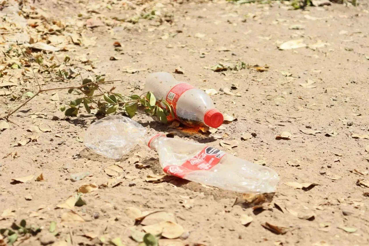 Los microplásticos se encuentran presentes en la lluvia y representan un riesgo a la salud; se requieren estrategias para resolver dicho problema Los microplásticos se encuentran presentes en la lluvia y representan un riesgo a la salud; se requieren estrategias para resolver dicho problema