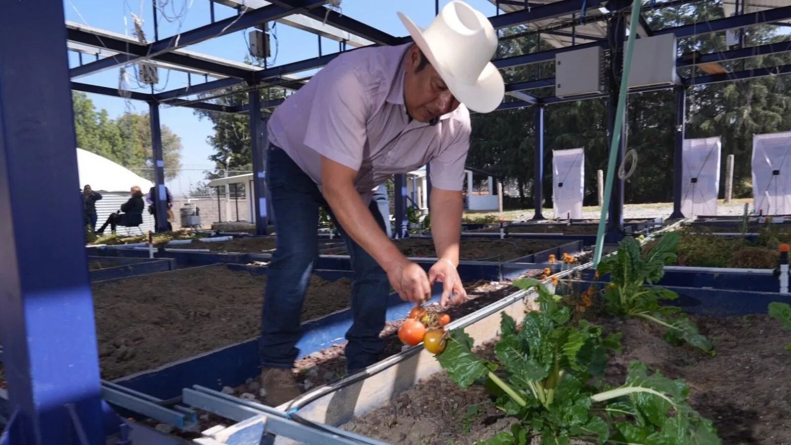 La técnica agrovoltaica, una innovación que optimiza el uso del suelo, genera energía renovable y mejora la producción en los campos agrícolas La técnica agrovoltaica, una innovación que optimiza el uso del suelo, genera energía renovable y mejora la producción en los campos agrícolas