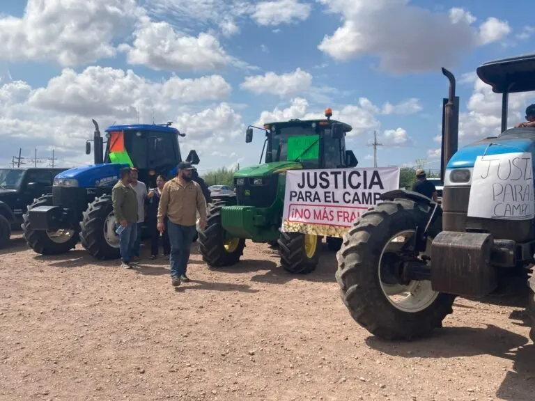 Productores de frijol se sienten estafados al no recibir pago por su cosecha; piden justicia Productores de frijol se sienten estafados al no recibir pago por su cosecha; piden justicia