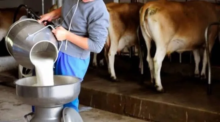 Avanza proyecto del Centro de Acopio de Leche Liconsa en Ahome: Tirso Robles Avanza proyecto del Centro de Acopio de Leche Liconsa en Ahome: Tirso Robles