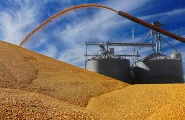 Productores y Gobierno del Estado colaboran para definir una programación de siembras para la temporada de otoño-invierno Productores y Gobierno del Estado colaboran para definir una programación de siembras para la temporada de otoño-invierno