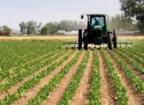La soberanía alimentaria en México sólo queda en el discurso; no hay resultados: Líder campesino La soberanía alimentaria en México sólo queda en el discurso; no hay resultados: Líder campesino