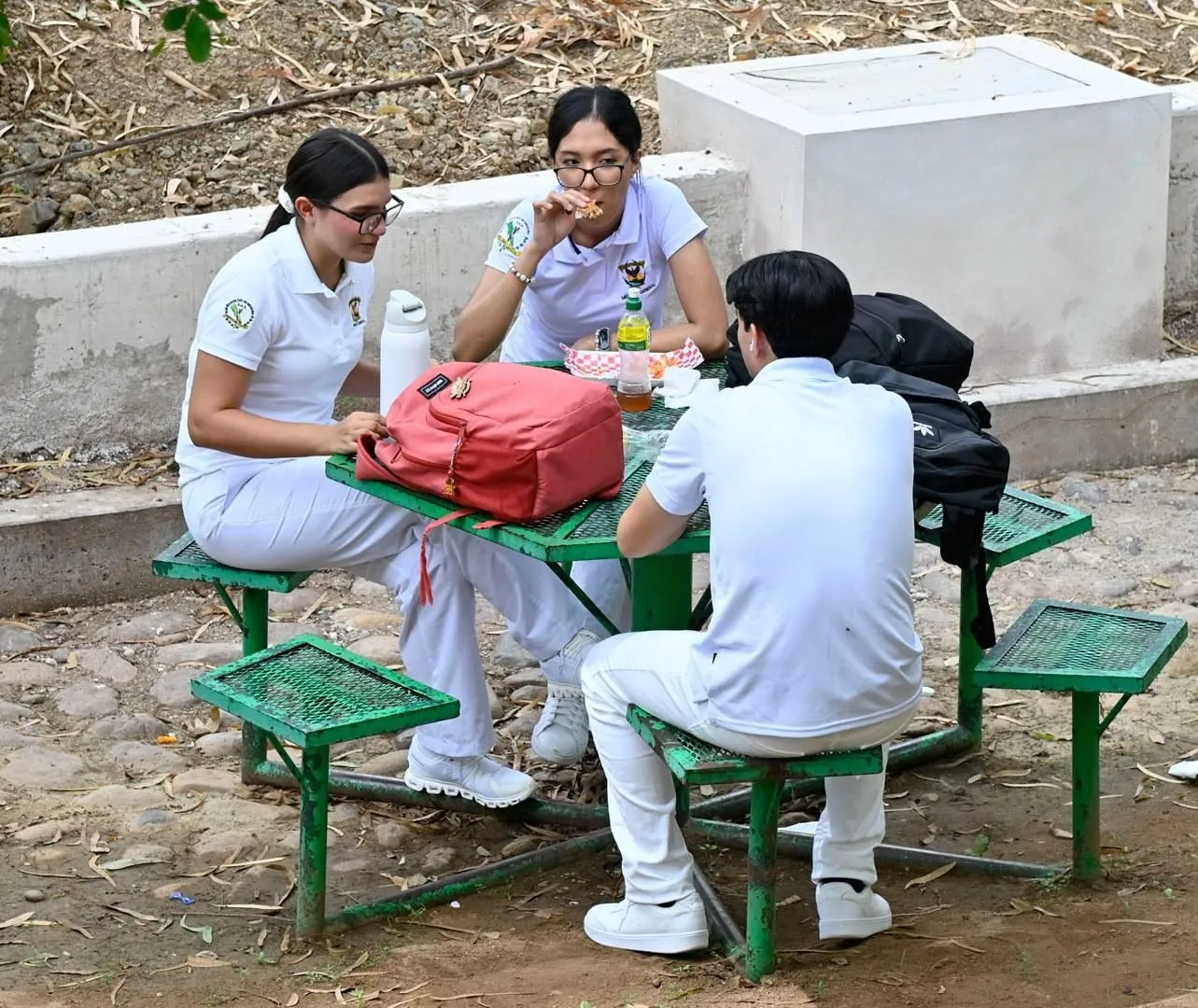 Junto con el regreso a clases es importante que niñas y niños lleven su lonchera saludable y que conozcan los diferentes tipos de alimentos Junto con el regreso a clases es importante que niñas y niños lleven su lonchera saludable y que conozcan los diferentes tipos de alimentos