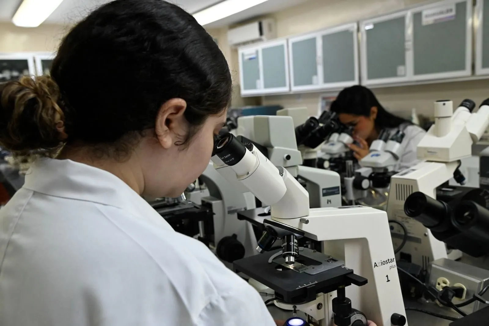 Necesario y pertinente asumir medidas preventivas en los hogares y las zonas circunvecinas para controlar la rickettsiosis, grave problema de salud Necesario y pertinente asumir medidas preventivas en los hogares y las zonas circunvecinas para controlar la rickettsiosis, grave problema de salud