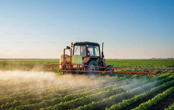Se encarece precio de fertilizante en 30% ; en riesgo rentabilidad de cultivos en Sinaloa Se encarece precio de fertilizante en 30% ; en riesgo rentabilidad de cultivos en Sinaloa
