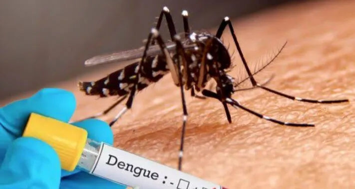 Preocupante brote importante de dengue en el municipio de Choix: Salud Preocupante brote importante de dengue en el municipio de Choix: Salud