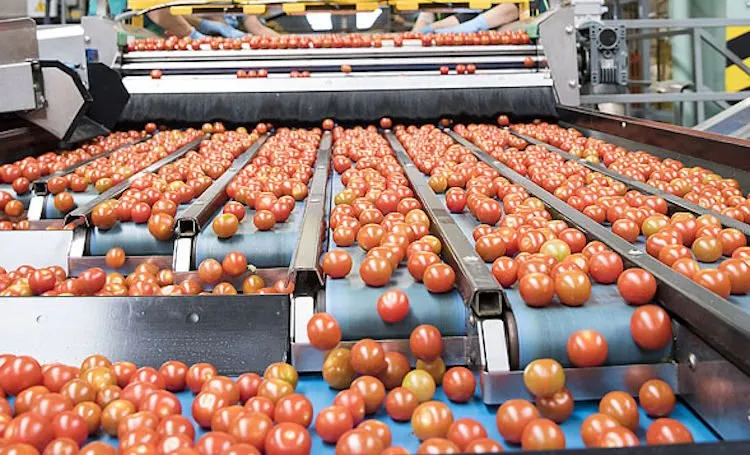 Cae exportación de agroalimentos por políticas de Trump Cae exportación de agroalimentos por políticas de Trump