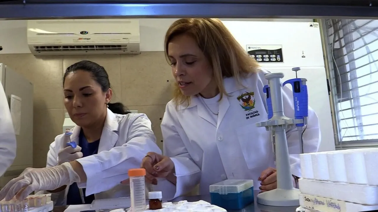 Especialista de la UAS realiza investigación en proteínas alternativas de fuente vegetal y de insectos, como soluciones sostenibles y saludables Especialista de la UAS realiza investigación en proteínas alternativas de fuente vegetal y de insectos, como soluciones sostenibles y saludables