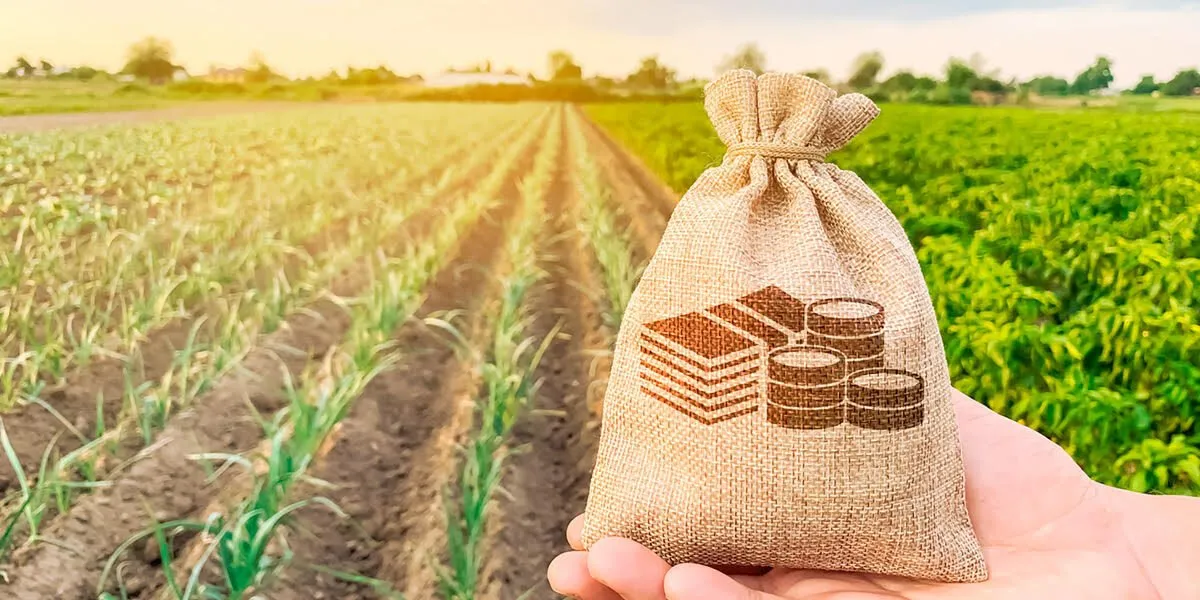 La reasignación mínima al presupuesto agrícola para el 2026 genera descontento La reasignación mínima al presupuesto agrícola para el 2026 genera descontento