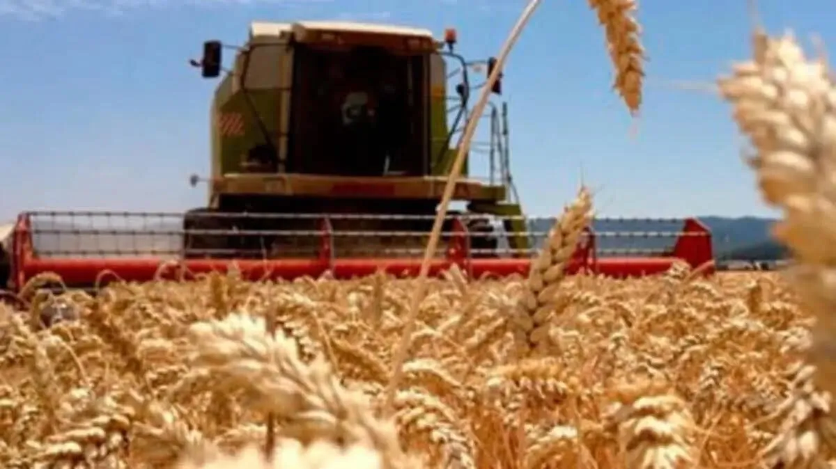 “En México se requiere nuevo modelo de desarrollo rural que beneficie a productores”: Feliciano Castro “En México se requiere nuevo modelo de desarrollo rural que beneficie a productores”: Feliciano Castro