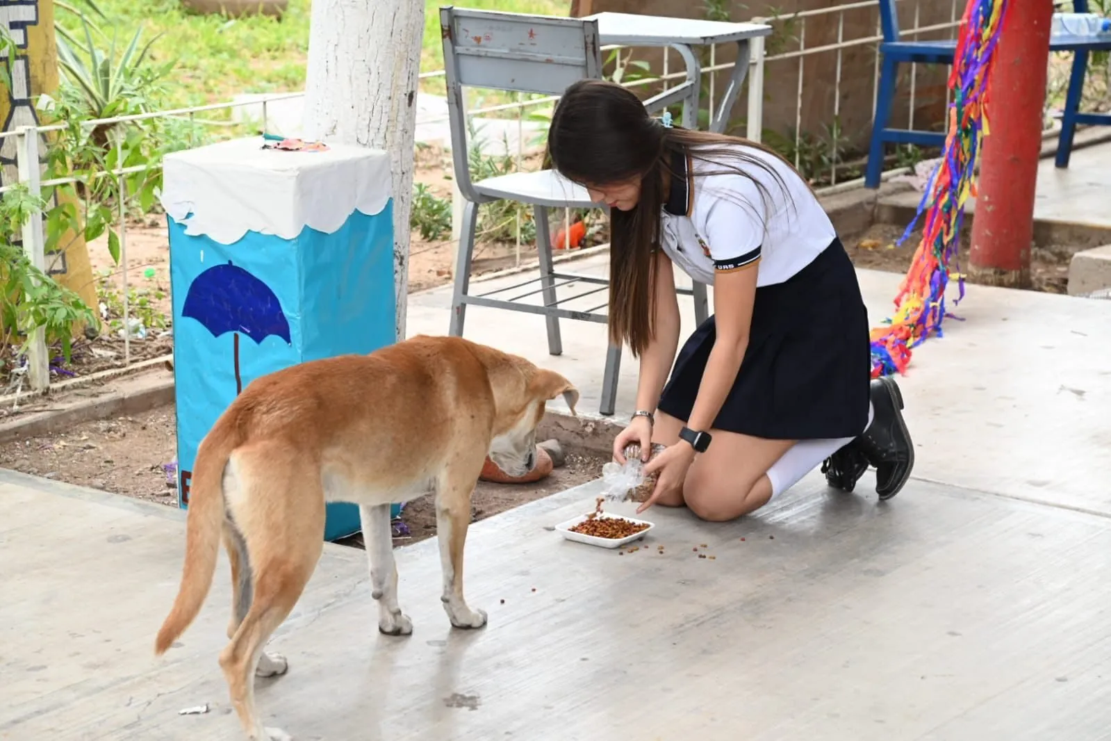 ¡Empatía y solidaridad! La Preparatoria Rafael Buelna realiza donaciones de trenzas y apoyo económico a GANAC, así como una tonelada de croquetas a Balto y Togo Bienestar y Rescate Animal ¡Empatía y solidaridad! La Preparatoria Rafael Buelna realiza donaciones de trenzas y apoyo económico a GANAC, así como una tonelada de croquetas a Balto y Togo Bienestar y Rescate Animal