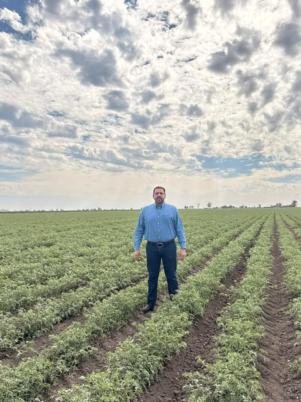 La calidad del garbanzo sinaloense, abre las puertas del mercado del medio oriente: Ismael Bello Esquuivel La calidad del garbanzo sinaloense, abre las puertas del mercado del medio oriente: Ismael Bello Esquuivel