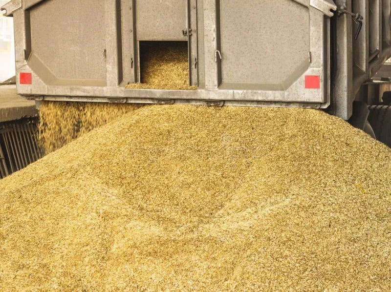Un presupuesto de 8 mmdp daría certeza a productores para garantizar precio al maíz: Valdez Armentía Un presupuesto de 8 mmdp daría certeza a productores para garantizar precio al maíz: Valdez Armentía