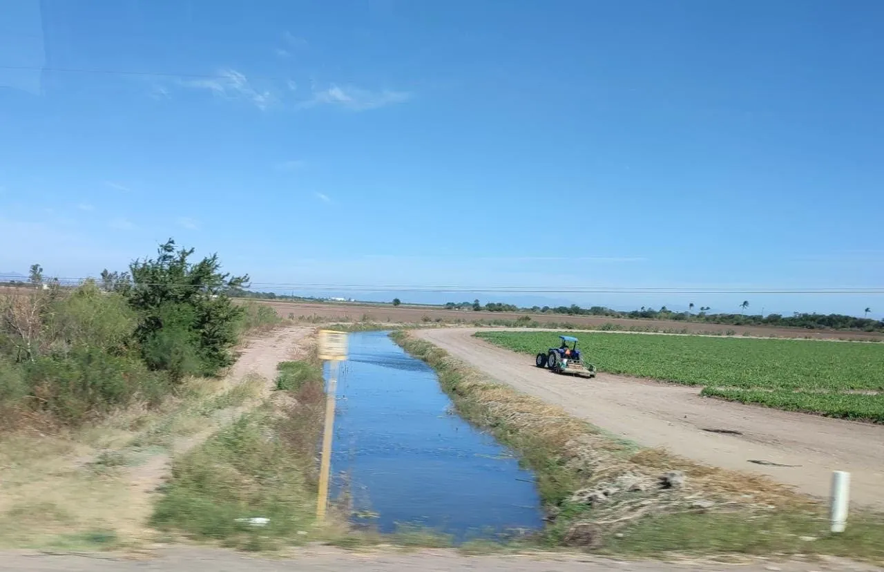 Módulo de riego Mavari avanza con programa de conservación, superando contratiempos Módulo de riego Mavari avanza con programa de conservación, superando contratiempos